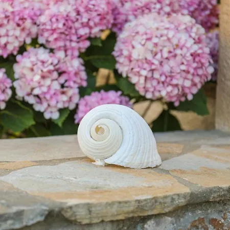 Takis מלון דירות