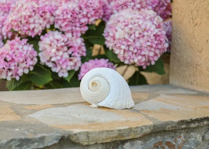 Takis Hotel de apartamente